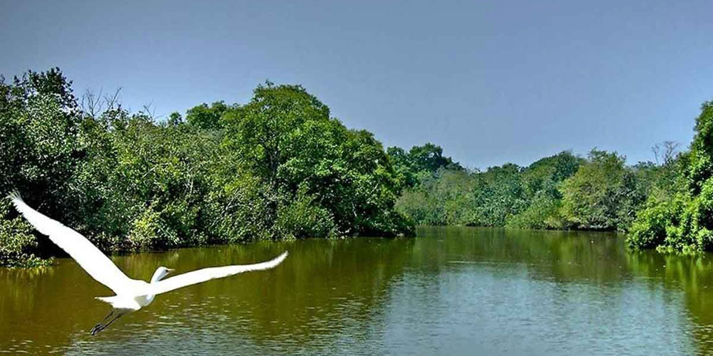 odisha-wildlife-tour