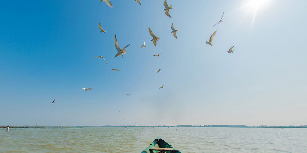 puri-konark-chilika-1-day-tour