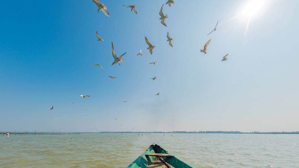best-b2b-tour-operator-in-odisha-soul-odisha-tours-delivers-trusted-travel-solutions