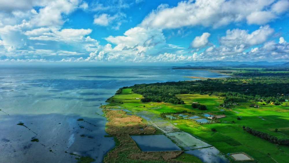 best-odisha-sightseeing-tour-packages-for-memorable-holiday-experiences